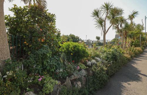 Sea Thrift - Photo 17