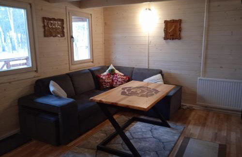 Ranczo Rykowisko - Foto 28