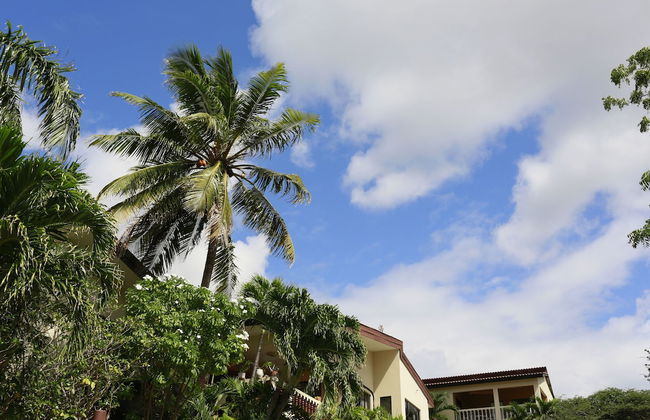 Hersher Studios & Apartments - Foto 33