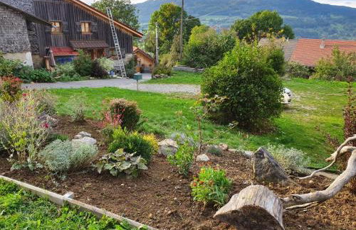 Grande maison savoyarde ensoleillée - Foto 17