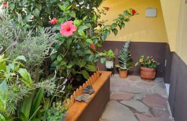 El Rincon de Nina - Foto 27