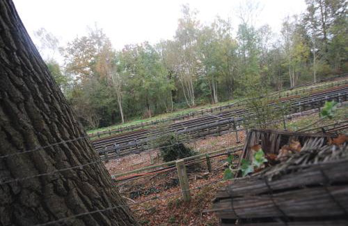 Hillingdon's House - Foto 34