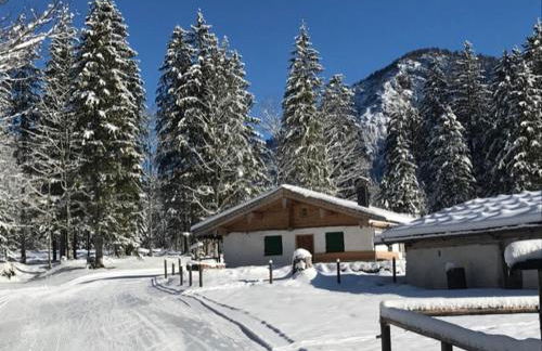 Ferienwohnungen Ortner-Hof inkl. Chiemgaukarte - Foto 9