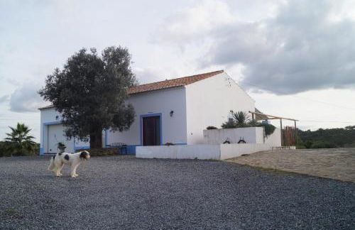 Monte da Calcadinha - Foto 23