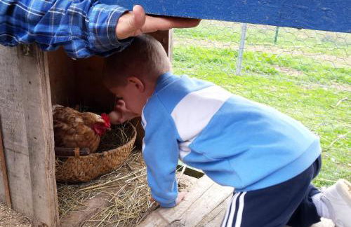 La Granja De Vitoria - Foto 27