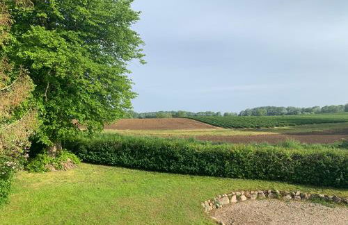 Reet und Meer Beckerwitz - Foto 10