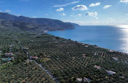Olive&Sea Villa-SEA - Foto 6