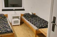 zielono mi - Foto 52