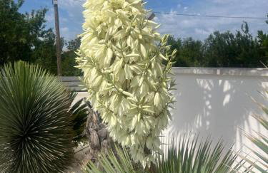 Villa Golden Apple - Foto 62