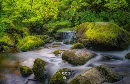 Ferienwohnung am Ilztal - Foto 35