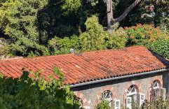 Gîte Wistéria - Foto 1