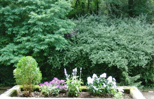 Appartementhaus im Grün - Foto 40