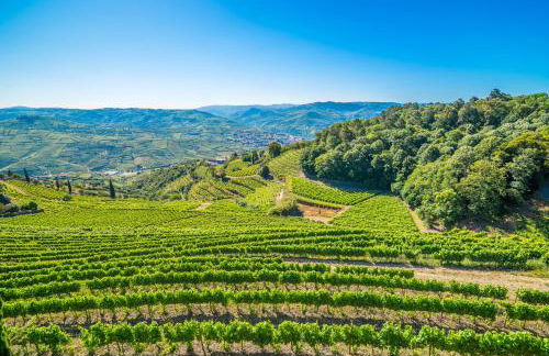 Quinta de Santa Júlia - Foto 5