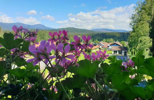 Haus Bergblick - Foto 51