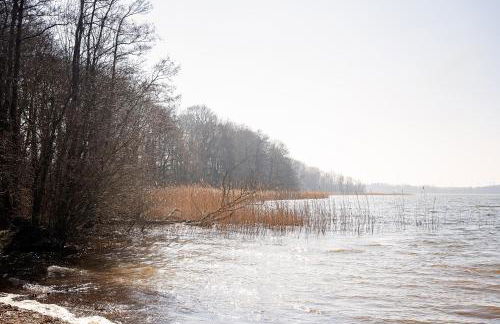 Ferienhaus-Wehr - Foto 50