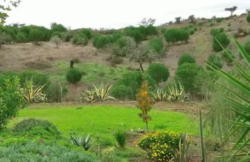 Ninho Da Poupa - Foto 51