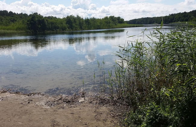 Holiday Flat in Kolczewo-70 qm for 6 Persons - Foto 21