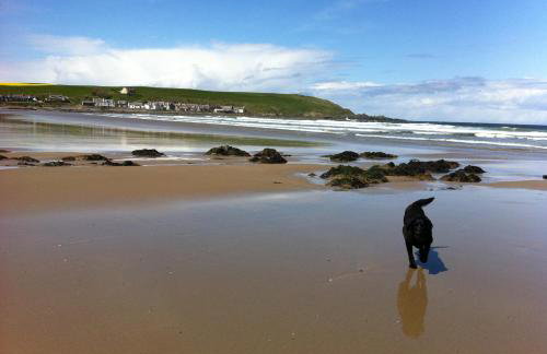 Sandend Cottage - Photo 25