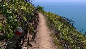 CREUZA DE 5 TERRE - Foto 2