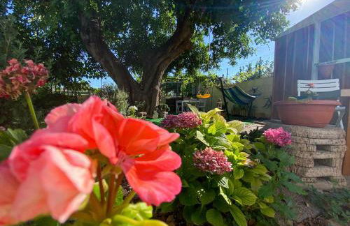 La Casa del Carrubo - Foto 24