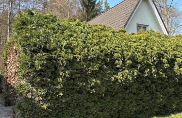 Haus Kranich -direkt am See Natur pur- - Foto 6