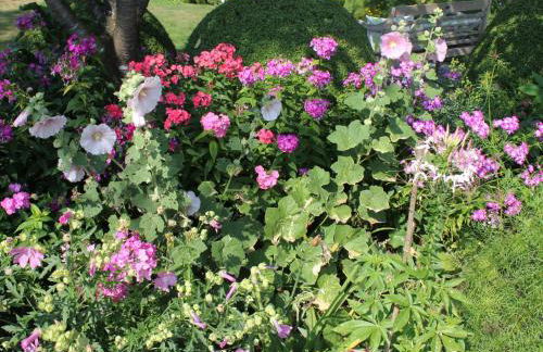 Apartment Appartement mit Wallbox by Interhome - Foto 26