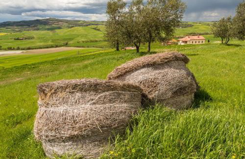 Agriturismo Poggio Tobruk - Foto 70