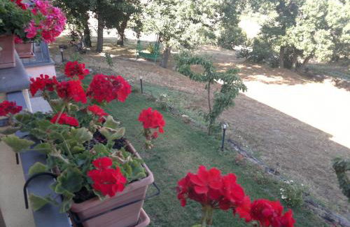 Agriturismo Francadu - Foto 21