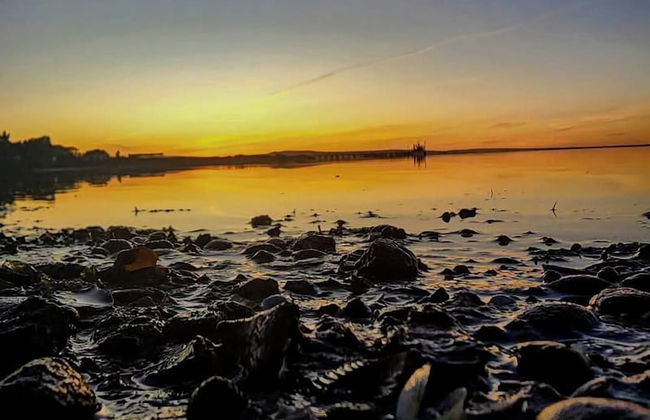 Coodlie Park Eco Retreat - Foto 28