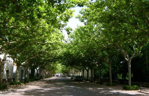 Casa Pinos - Foto 43