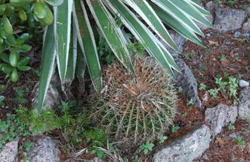 Casa Gazzano - Photo 50