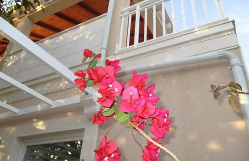 Apartments Carol - Foto 46