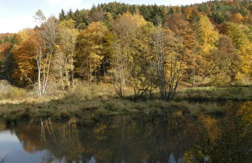 Goldener Fuchs in Moschendorf - Foto 13