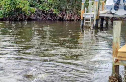 The Fish Shack - Foto 22