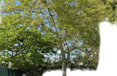 Villetta degli Ulivi - Foto 26