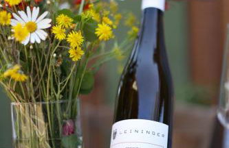 Weingut Leininger Ferienwohnungen - Foto 50
