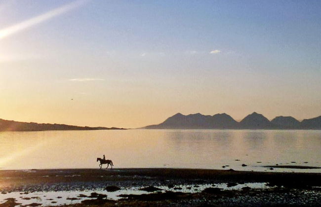 6 Person Holiday Home in Hamnvik - Foto 21