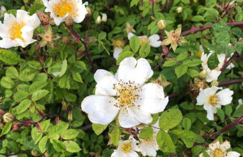 Drovers Retreat - Photo 45