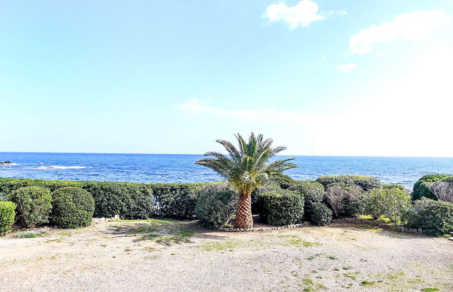 Les Corailleurs - Foto 19