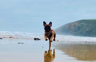 Daphne's Lodge - Foto 22