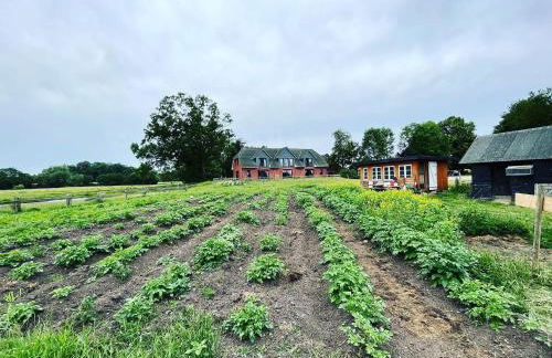 Reihenhaus Geltinger Bucht - Foto 33