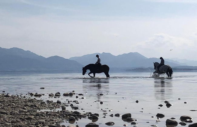 Gemutliches Ferienwohnung in Feldwies mit Sauna - Photo 37