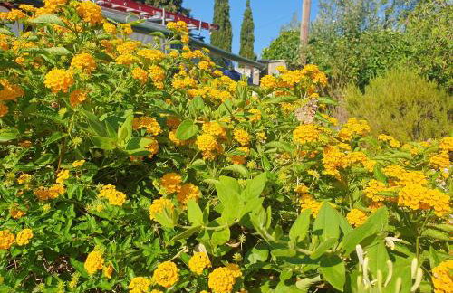 Elia Village by Irida Iris Group - Foto 43