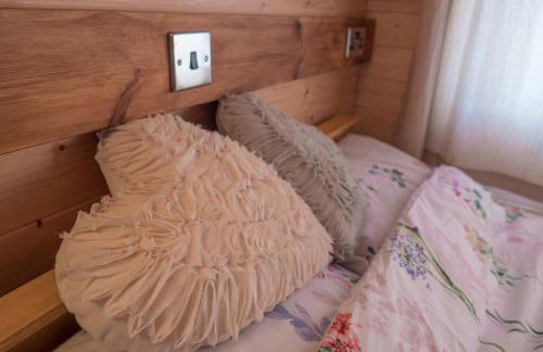 Enlli Fach cabin sleep's 2 adults and 2 children 2 dogs welcome not suitable for contract workers due to parking height restrictions - Photo 19