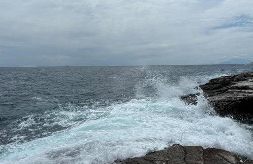 KTIMA ALEXANDROS - Photo 73