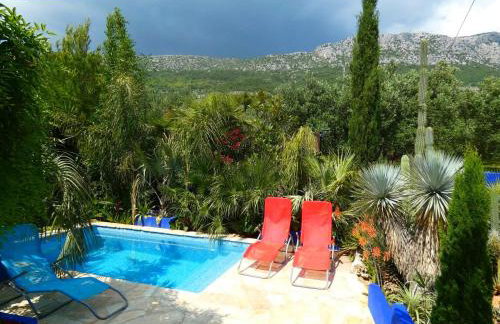 Villa Tropica, total privacy, tropical garden and private pool - Photo 14