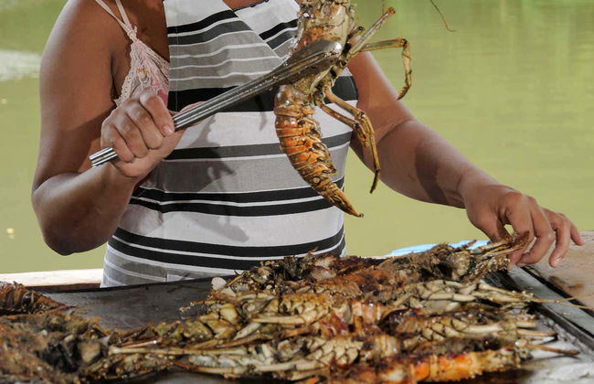 Excursão a La Romana e Altos de Chavón - Foto 9