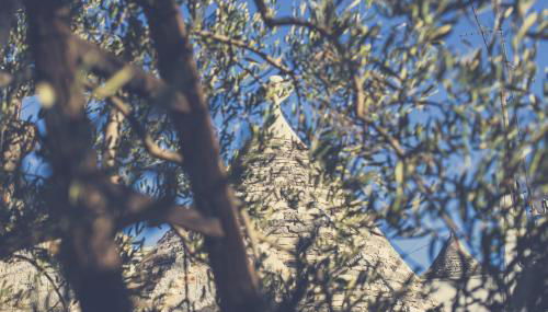 Trullo del Sorriso - Foto 5