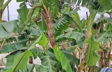 villa kate view - Foto 23