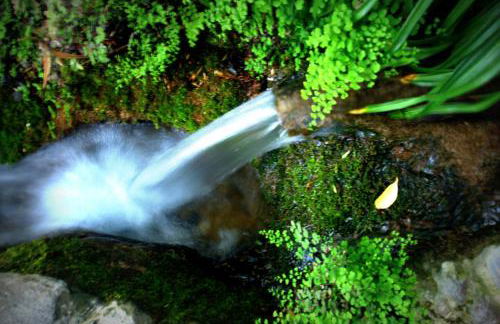 Alojamiento Rural El Brazal - Foto 31